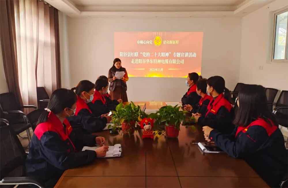 陽谷華東特種電纜積極參與“巾幗心向黨 建功新征程”黨的二十大精神專題宣講活動(dòng)